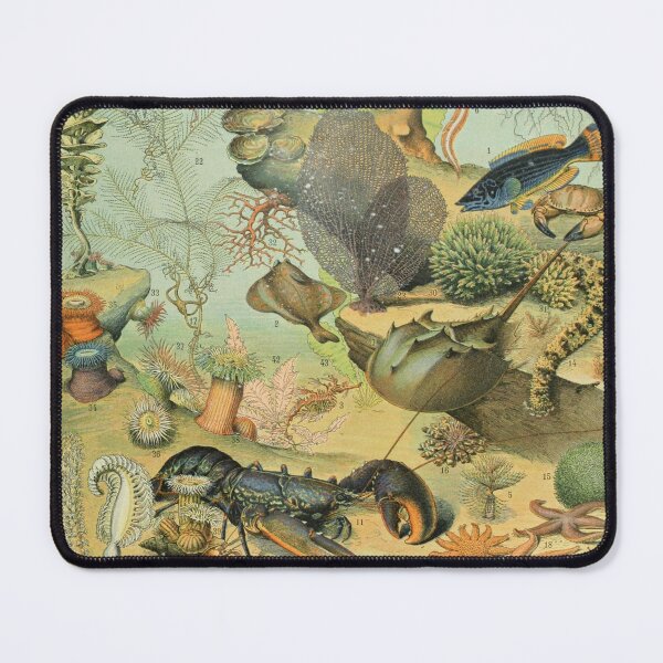 Item preview, Ocean (1897-1904) - Nouveau Larousse illustré designed and sold by SALON DES ARTS.
