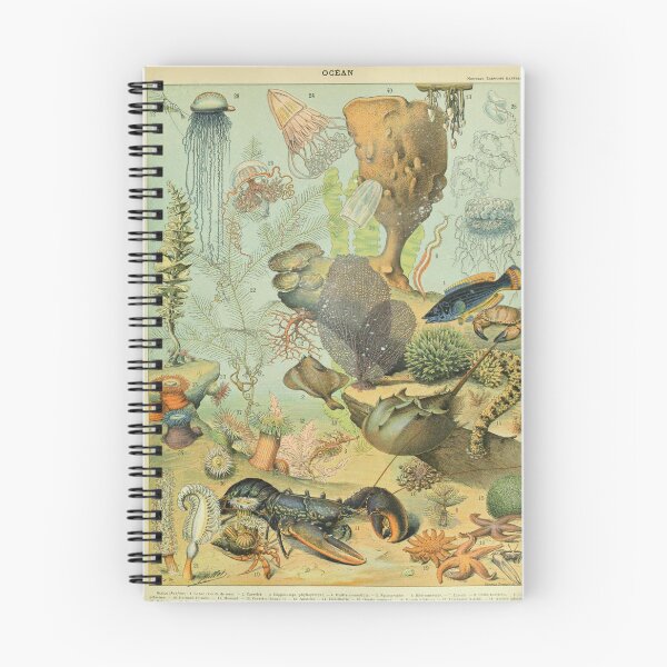 Item preview, Ocean (1897-1904) - Nouveau Larousse illustré designed and sold by SALON DES ARTS.