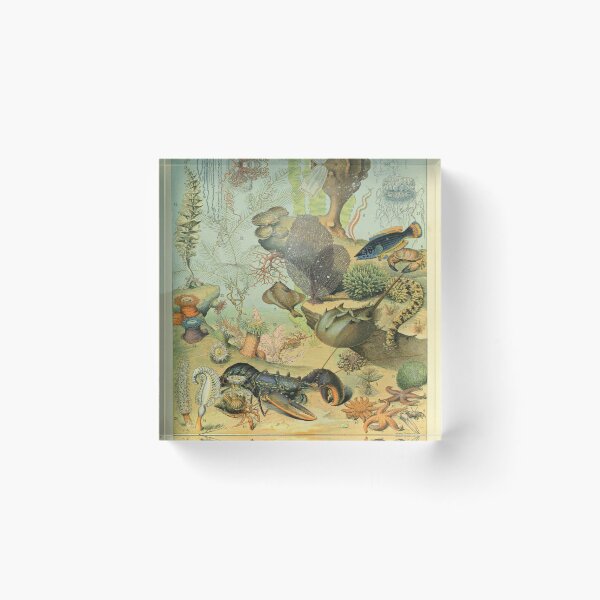 Item preview, Ocean (1897-1904) - Nouveau Larousse illustré designed and sold by SALON DES ARTS.