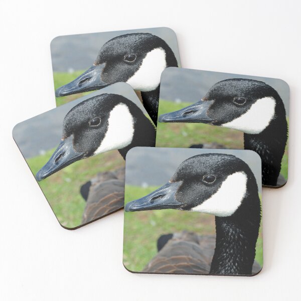 Item preview, Canada Goose Canadian Geese Wild Bird designed and sold by AndyEvansPhotos.