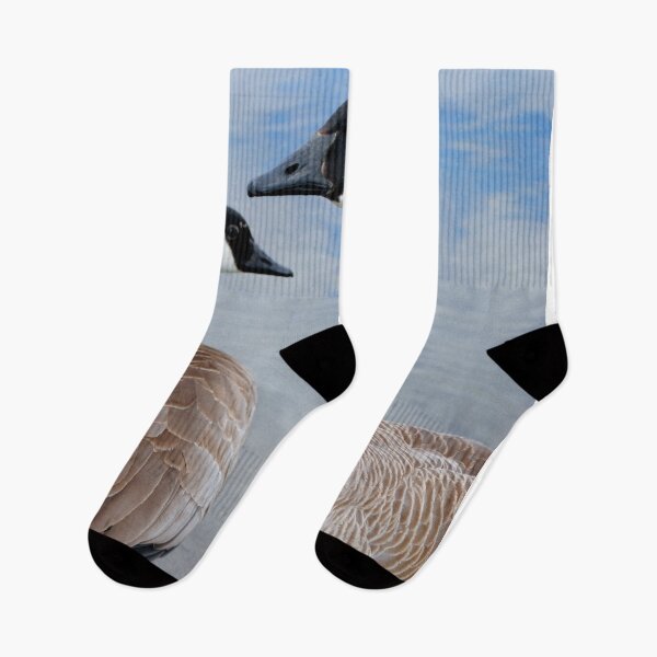 Item preview, Canadian Geese Wild Bird designed and sold by AndyEvansPhotos.