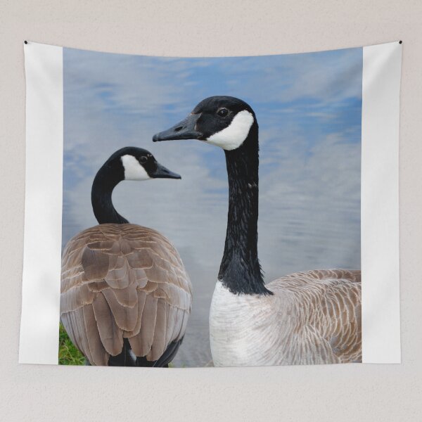Item preview, Canadian Geese Wild Bird designed and sold by AndyEvansPhotos.