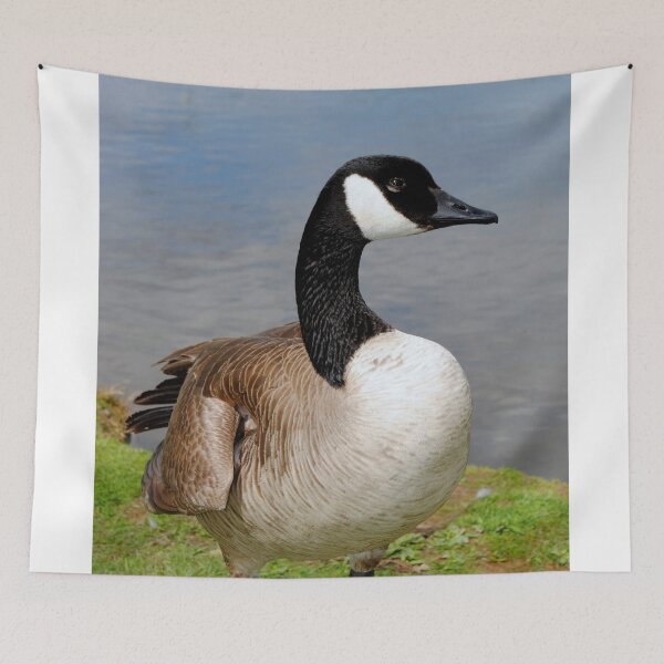 Item preview,  Canadian Geese Wild Bird designed and sold by AndyEvansPhotos.