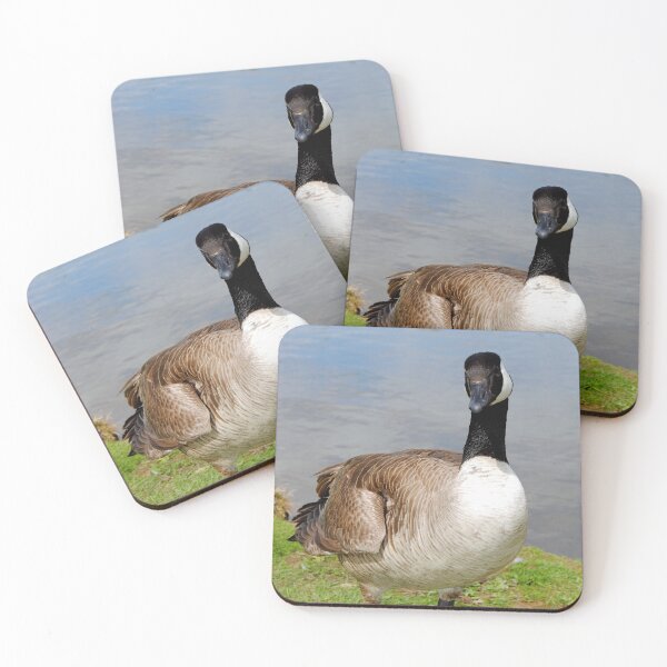 Item preview, Canada Goose Canadian Geese Wild Bird designed and sold by AndyEvansPhotos.