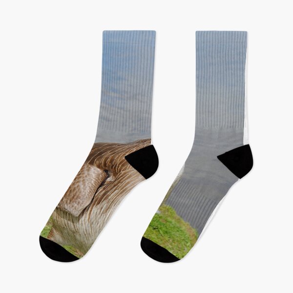 Item preview, Canada Goose Canadian Geese Wild Bird designed and sold by AndyEvansPhotos.