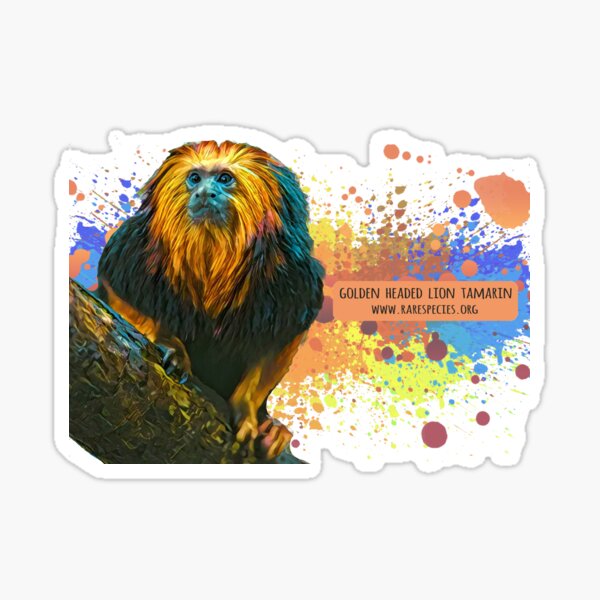 Golden Headed Lion Tamarin Sticker