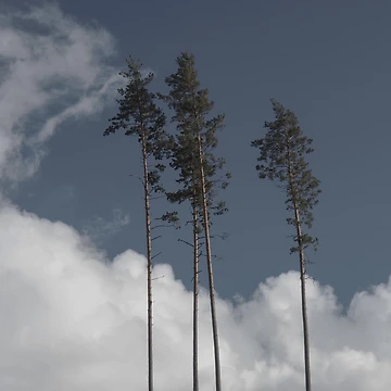 Artwork thumbnail, Spring clouds by Julia Pärnänen