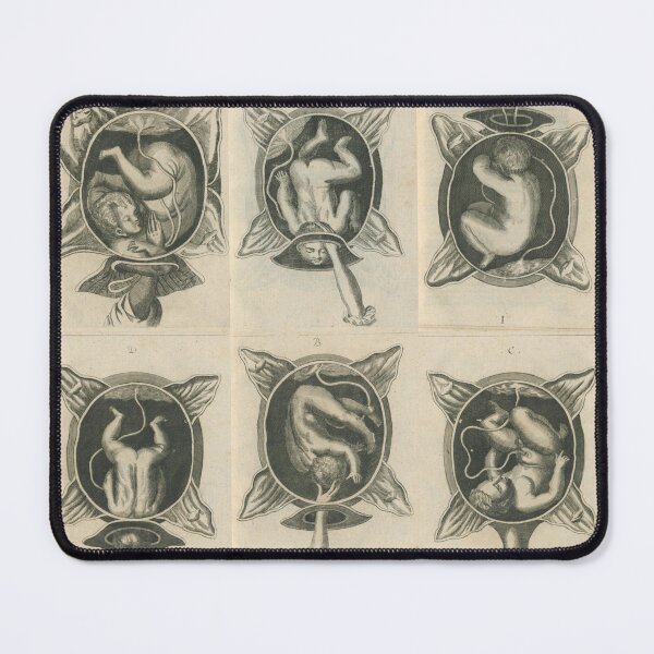 Item preview, Justine Siegemund - Court Midwife Illustrations Plate - Pregnancy, Birth, Motherhood, Prolife designed and sold by Vintage-TM.