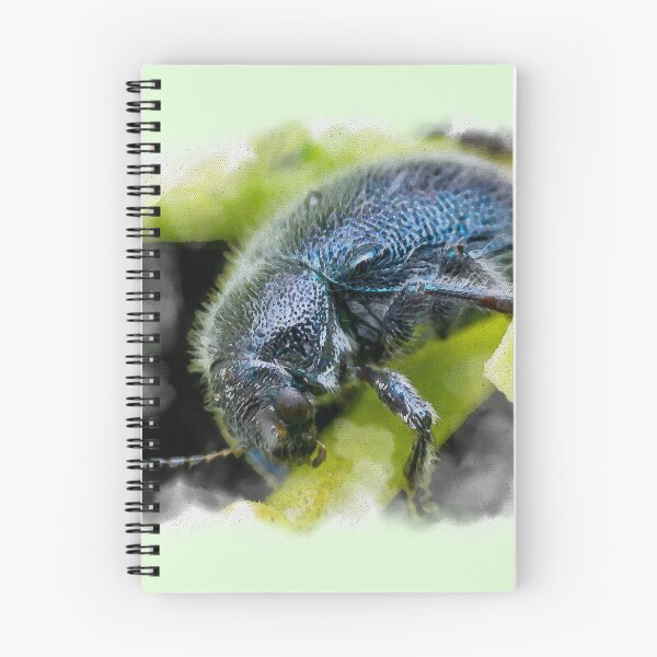 Item preview, A watercolour version of a metallic blue leaf beetle! (Trichochrysea hirta) relaxing on the petiole  designed and sold by AvonPerception.