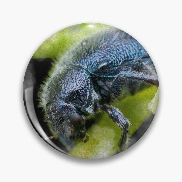 Item preview, A watercolour version of a metallic blue leaf beetle! (Trichochrysea hirta) relaxing on the petiole  designed and sold by AvonPerception.