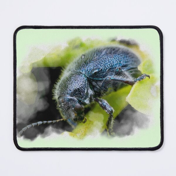 Item preview, A watercolour version of a metallic blue leaf beetle! (Trichochrysea hirta) relaxing on the petiole  designed and sold by AvonPerception.