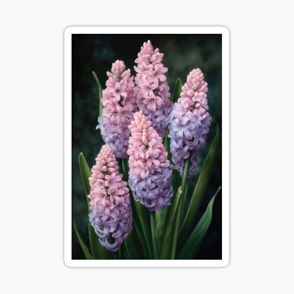 Aperçu de l'œuvre Lavender Hyacinth  créée et vendue par Vanover Designs.