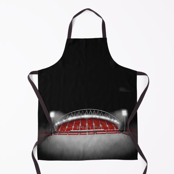 Item preview, Thomond Park - Munster Rugby designed and sold by barrymasterson.