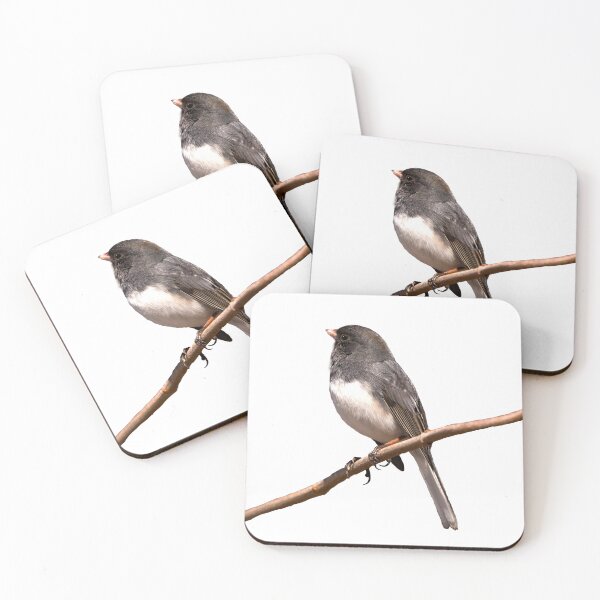 Item preview, Dark eyed junco on a branch designed and sold by KRFNatureGifts.