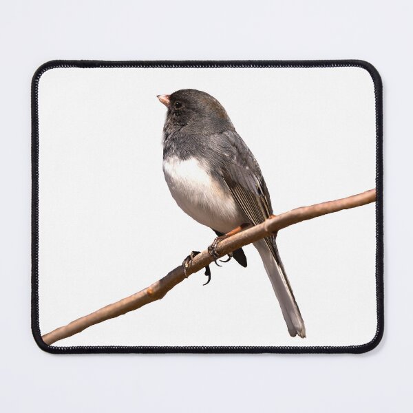 Item preview, Dark eyed junco on a branch designed and sold by KRFNatureGifts.