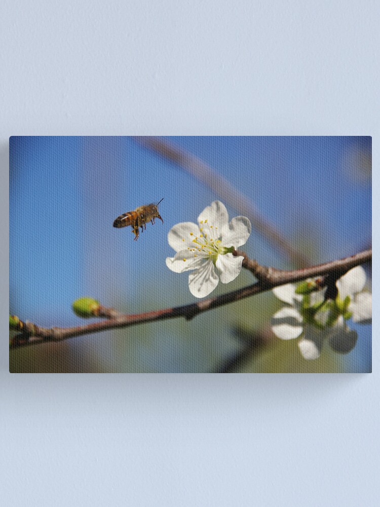 Alternate view of Been Busy? Canvas Print