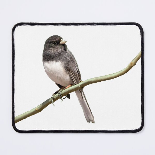 Item preview, Junco bird on a branch designed and sold by KRFNatureGifts.