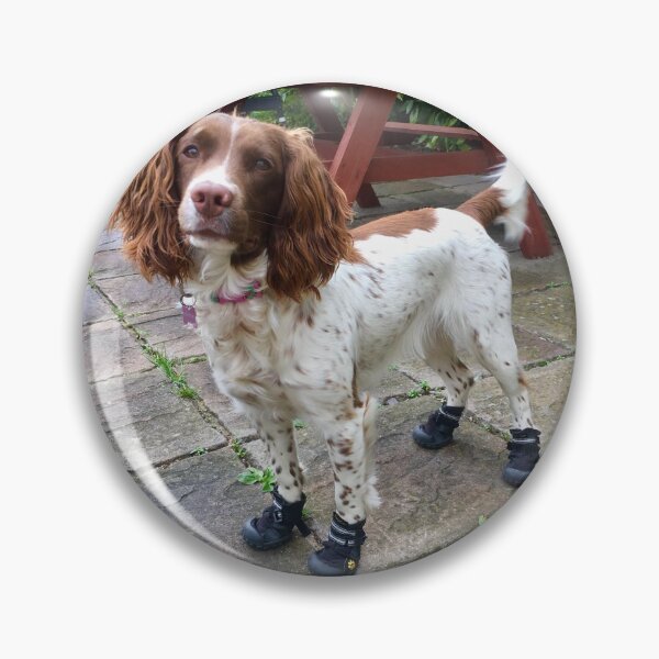 Item preview, Spaniel in boots designed and sold by Bex-The-Bandit.