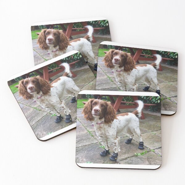 Item preview, Spaniel in boots designed and sold by Bex-The-Bandit.