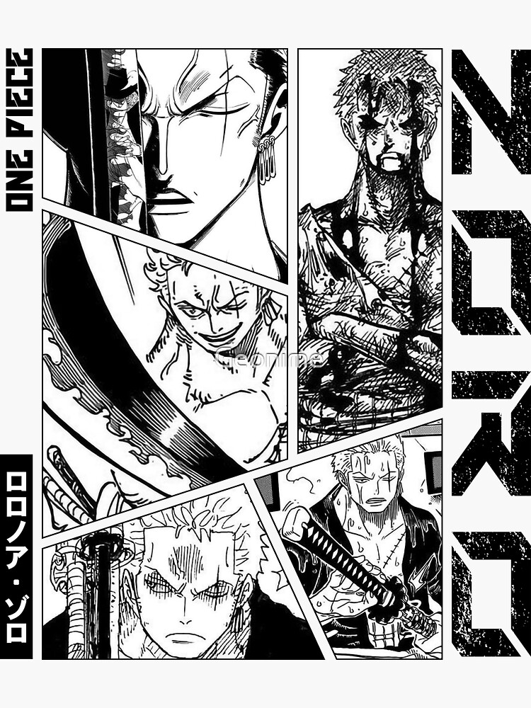 mangaterial  One piece manga, Zoro, Zoro one piece