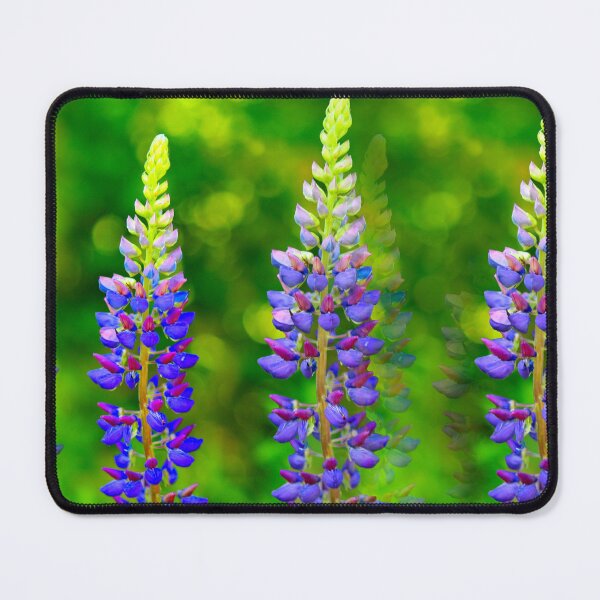 Item preview, Blue Lupine Photo Art designed and sold by BostonArcImage.
