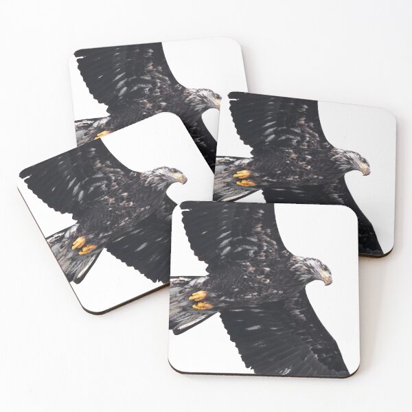 Item preview, Juvenile bald eagle flying overhead designed and sold by KRFNatureGifts.