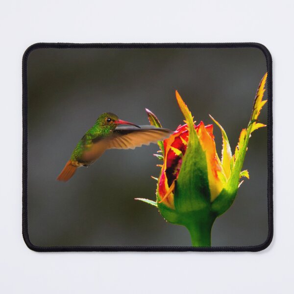 Item preview, Checking Out The Roses III designed and sold by alabca.