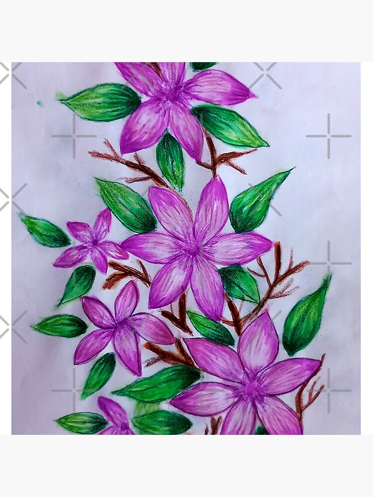 multi color flowers | Flower prints art, Flower painting, Botanical flower  art