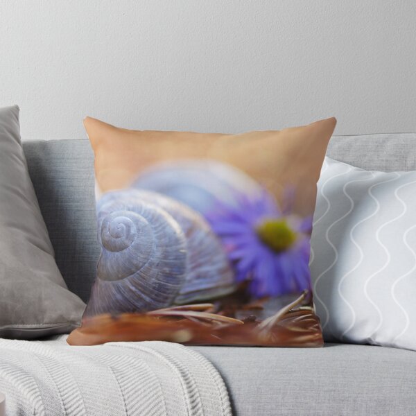 Item preview, Shell designed and sold by stafoto.