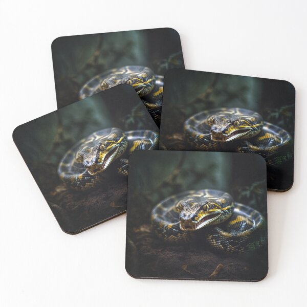 Item preview, Boelen's Python designed and sold by Dawn van Doorn.