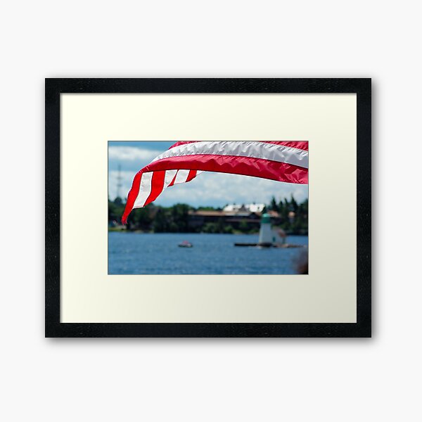 Framed Art Print