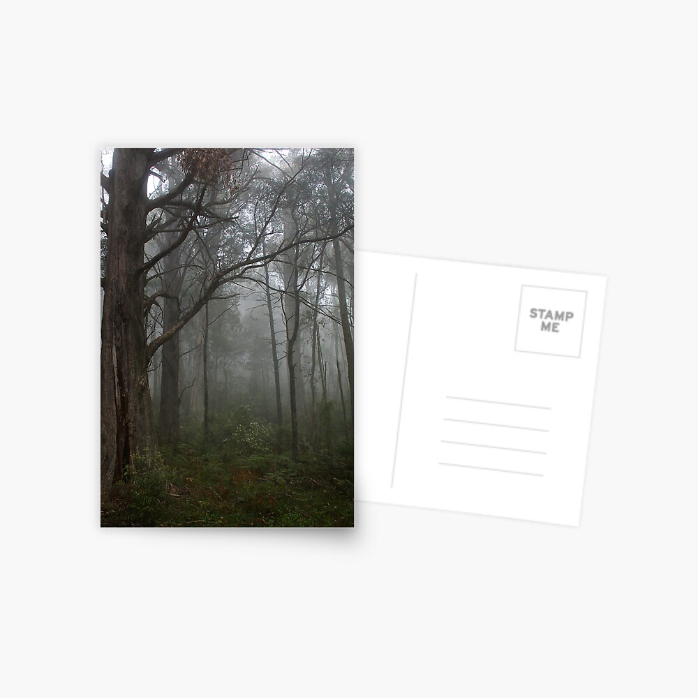 Into the fog Postcard