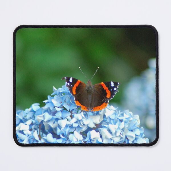 Aperçu de l'œuvre Papillon sur les fleurs créée et vendue par EightBuffalo.