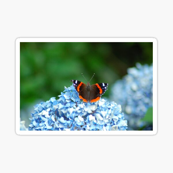 Butterfly on flowers Sticker