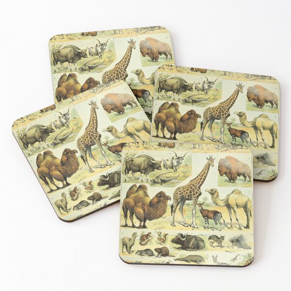 Item preview, Mammals (1897-1904) - Nouveau Larousse illustré designed and sold by SALON DES ARTS.