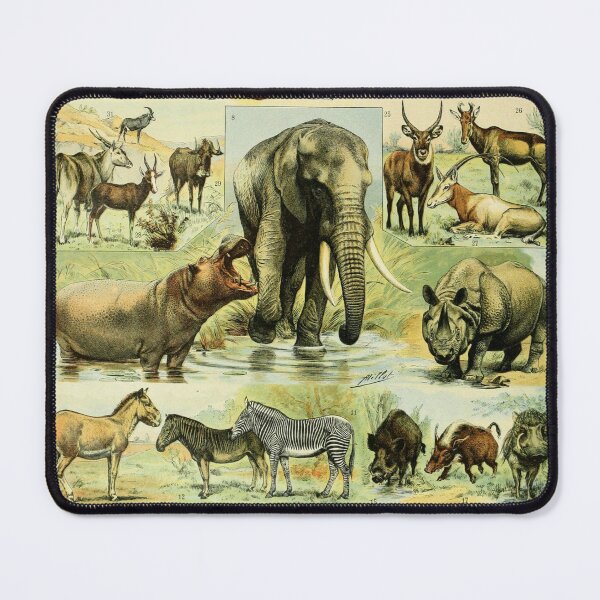 Item preview, Mammals (1897-1904) - Nouveau Larousse illustré designed and sold by SALON DES ARTS.
