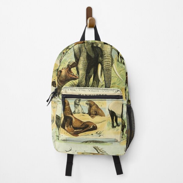 Item preview, Mammals (1897-1904) - Nouveau Larousse illustré designed and sold by SALON DES ARTS.