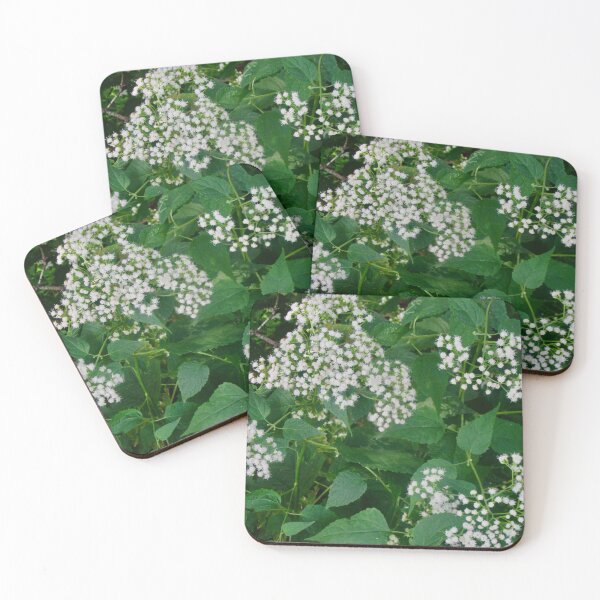 Item preview, Tiny white flowers designed and sold by Shulie1.