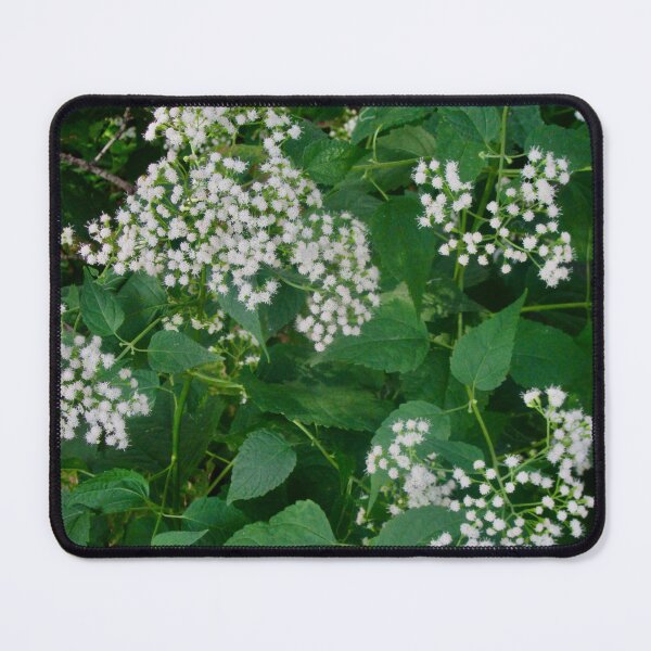 Item preview, Tiny white flowers designed and sold by Shulie1.