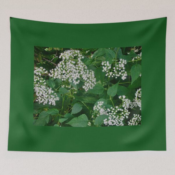 Item preview, Tiny white flowers designed and sold by Shulie1.