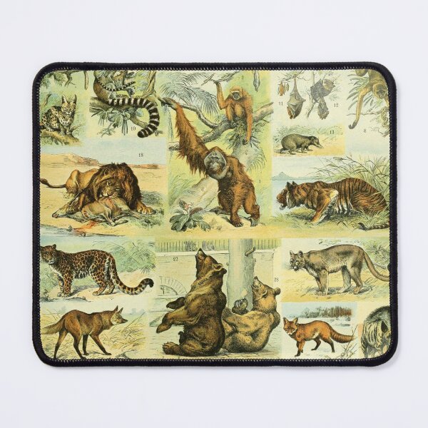 Item preview, Mammals (1897-1904) - Nouveau Larousse illustré designed and sold by SALON DES ARTS.