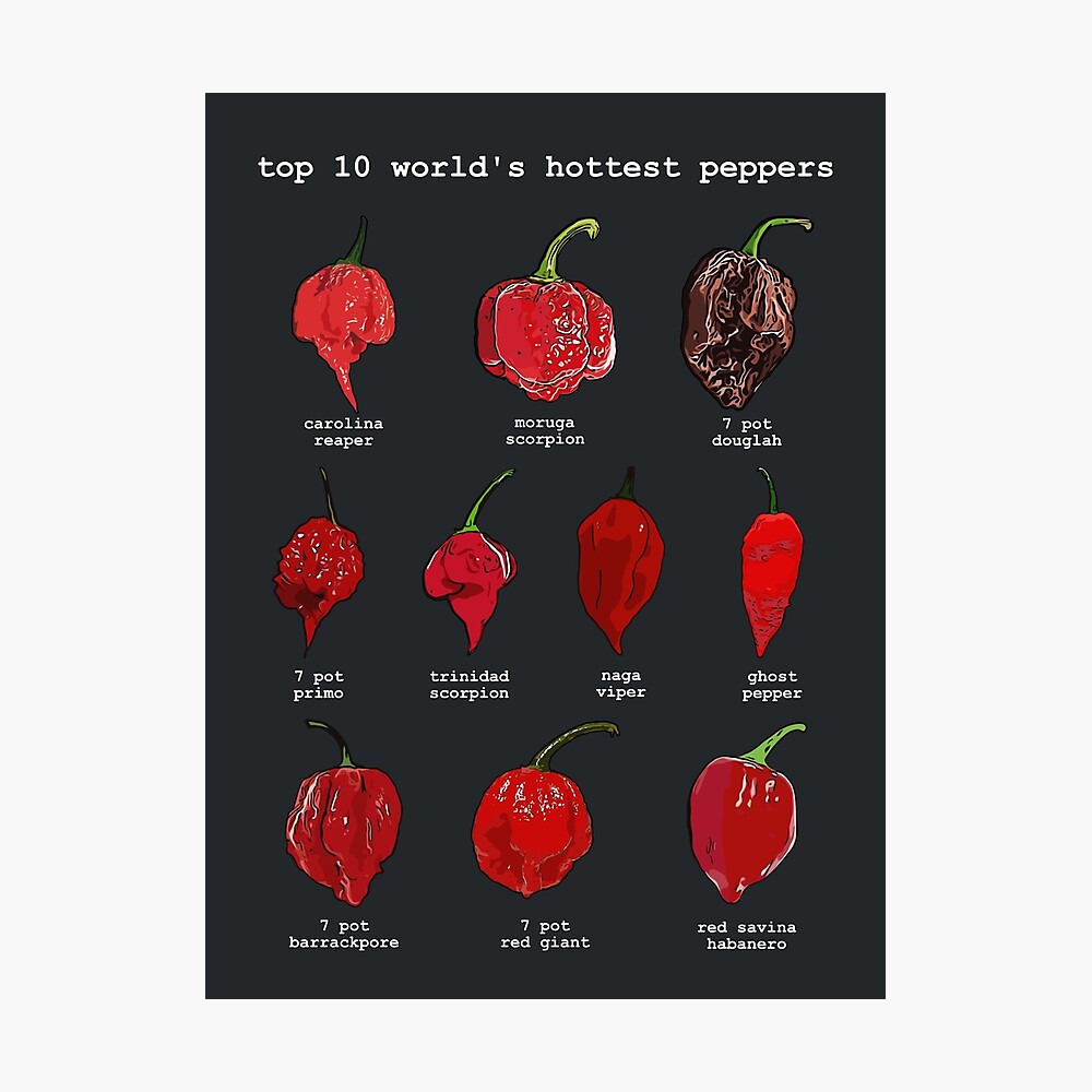 Top 10 World's Hottest Peppers Poster