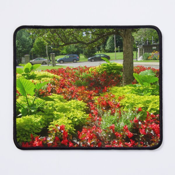 Item preview, Our colourful garden designed and sold by Shulie1.