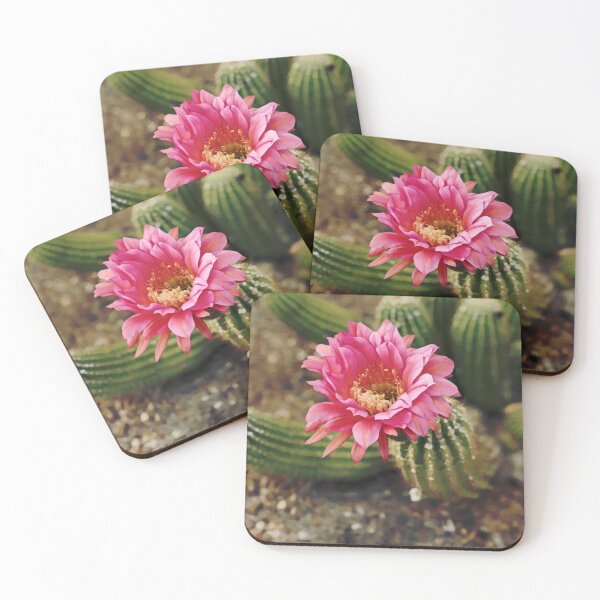 Item preview, cactus flower designed and sold by noveclocks.