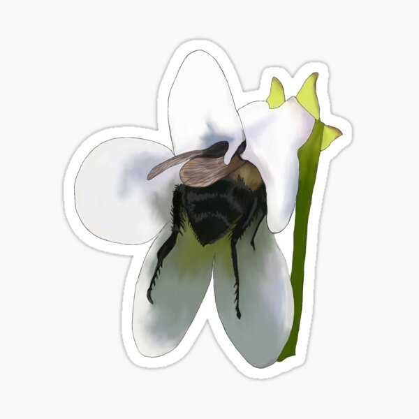 Bumble Butt Sticker