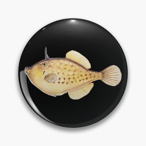 Item preview, Antique Fish Pseudomonacanthus Peroni Vintage Fish designed and sold by AmethystMurad.