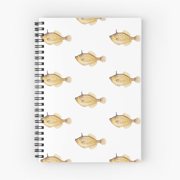 Item preview, Antique Fish Pseudomonacanthus Peroni Vintage Fish designed and sold by AmethystMurad.