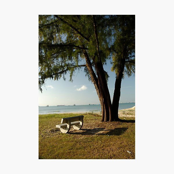 Item preview, Bench by the sea designed and sold by Aneurysm.
