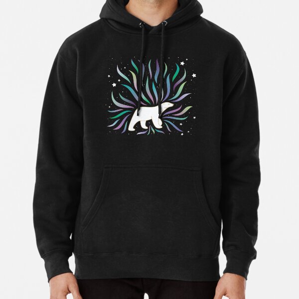 Northern Lights Pullover Hoodie