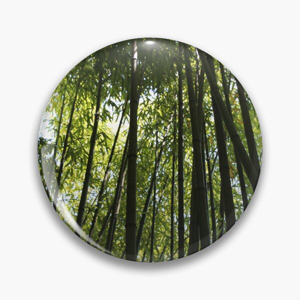 Item preview, Tall trees looking skywards. designed and sold by Pauline Cutler.